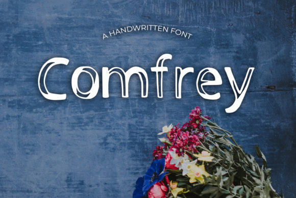How Comfrey Modern Display Font Elevated Our Digital Brand Project