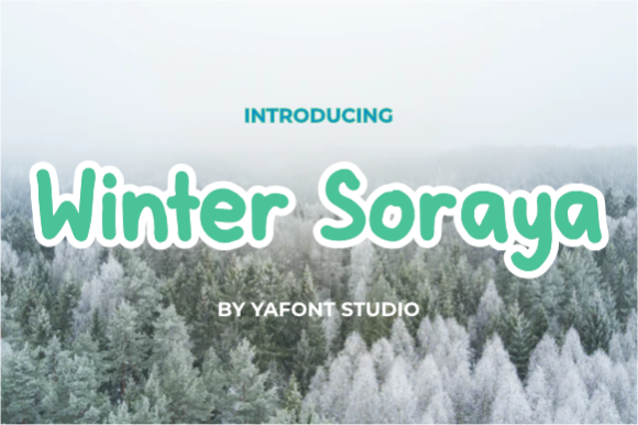 Winter Soraya: A Display Font Built for Campaign Clarity
